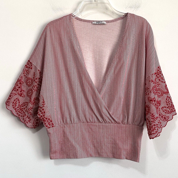 Zara Top M Surplice Crop Smocked Red Stripe Embroidered Half Sleeve Popover Boho - Picture 1 of 10